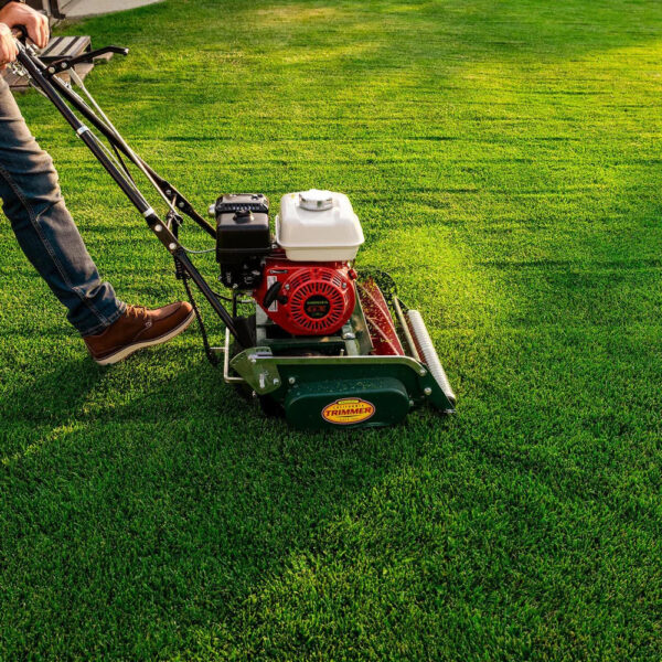 0005_cal-trimmer-1030414.jpg Classic Standard 20 in. 7-Blade Gas Walk Behind Lawn Mower