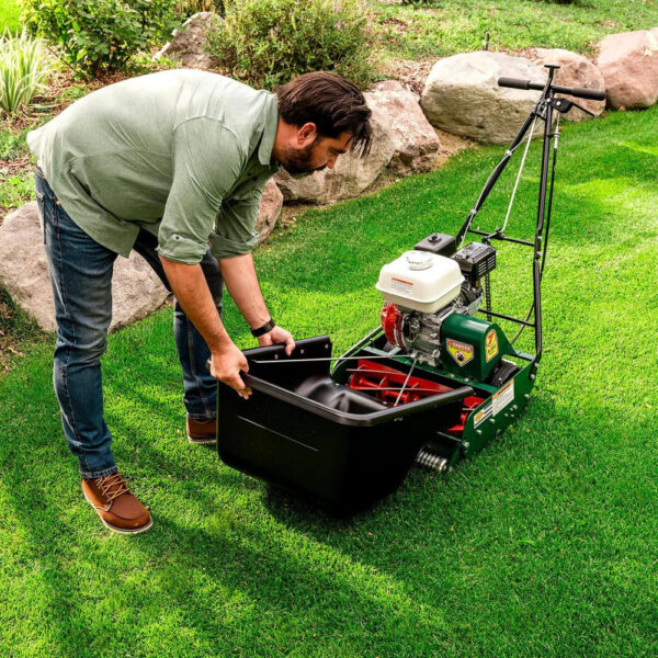 0012_cal-trimmer-1030304.jpg Classic Standard 20 in. 7-Blade Gas Walk Behind Lawn Mower