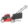 Troy-Bilt TB200C Self-Propelled Lawn Mowers