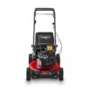 Toro 21321 21 inch Recycler Self-Propel Gas Lawn Mower