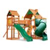Wilderness Gym Swing Set
